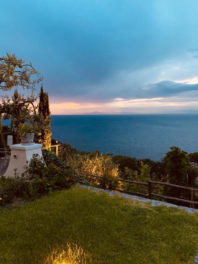 Agapanto Luxury Casamicciola Terme