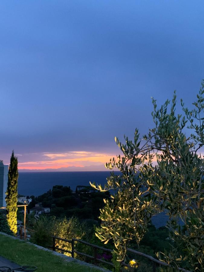 Frühstückspension Agapanto Luxury Casamicciola Terme