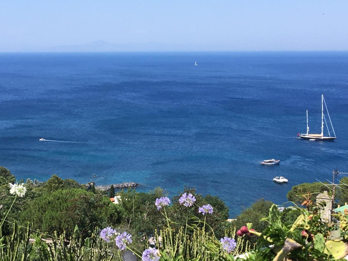 Agapanto Luxury Frühstückspension Casamicciola Terme