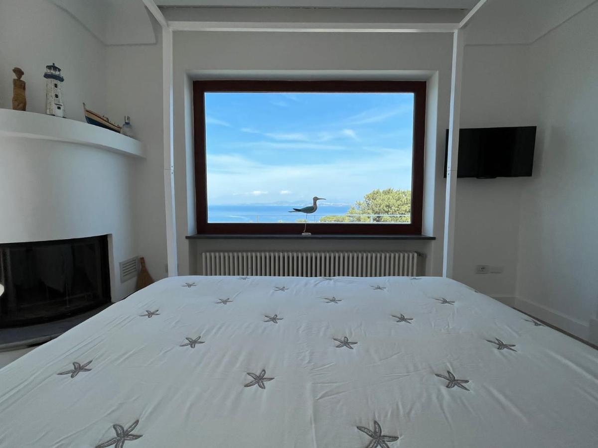 Agapanto Luxury