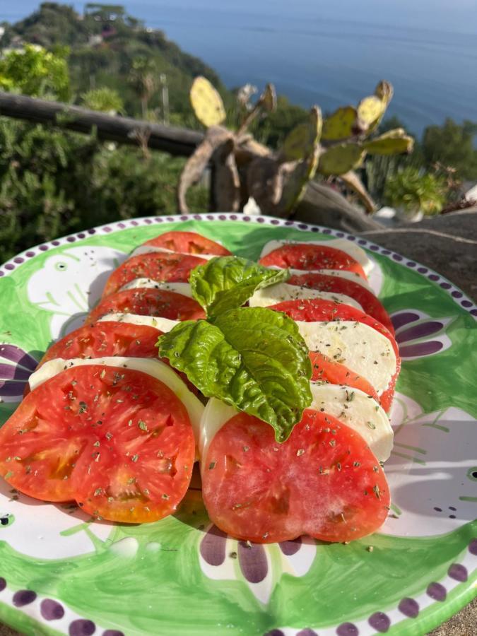 Frühstückspension Agapanto Luxury Casamicciola Terme