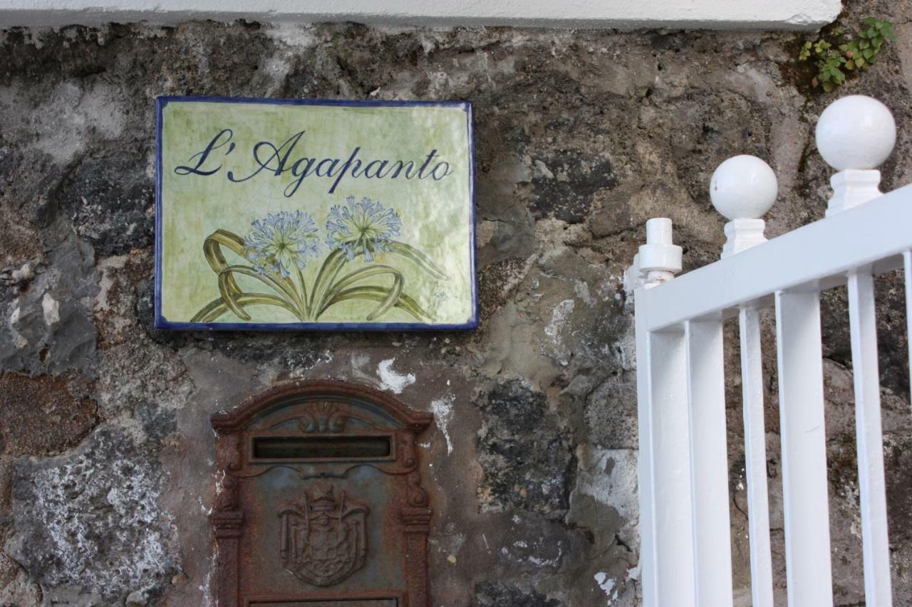 Agapanto Luxury