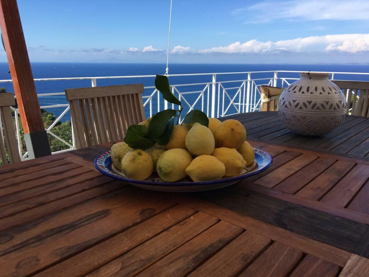 Frühstückspension Agapanto Luxury