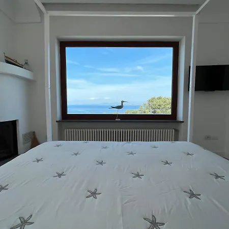 Agapanto Luxury Accommodation Casamicciola Terme Exterior photo