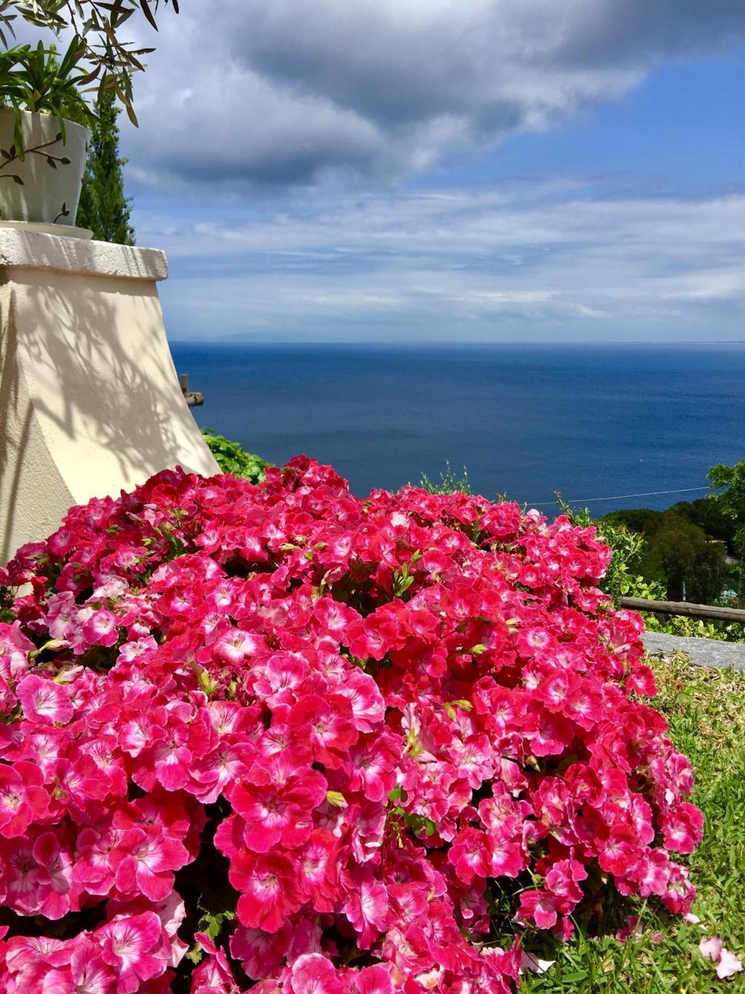 Agapanto Luxury Casamicciola Terme