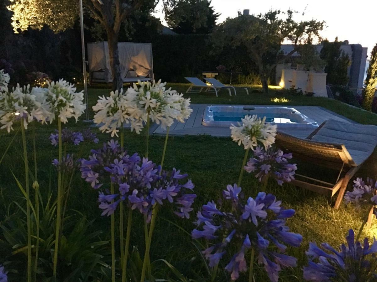 Bed & Breakfast Agapanto Luxury