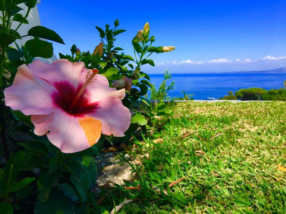 Bed & Breakfast Agapanto Luxury Casamicciola Terme